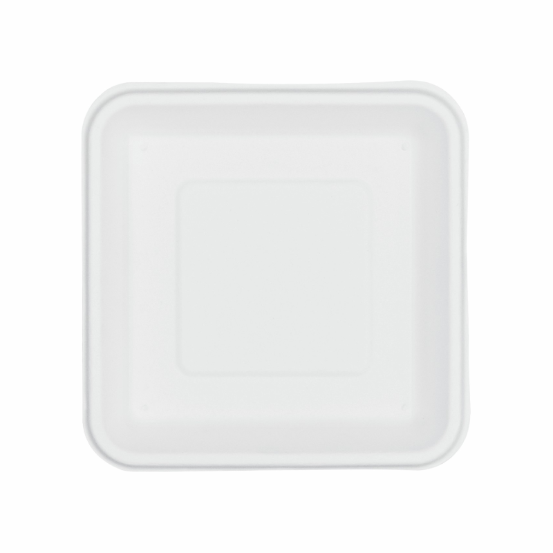 Image 24 - 1D Tray Square plate
